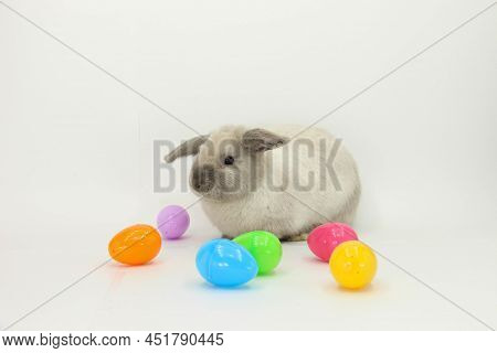 An Adorable Rabbit With Some Easter Eggs Against A White Background