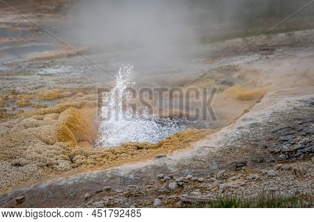 Hydrothermal Geyser Erupting At Yellowstone National Park, Wyoming