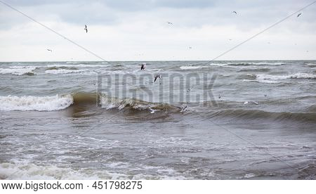 Huge Waves Raging In The Sea And Seagulls In The Spray Of Waves. Storm At Sea. Birds Fly Over The Wa