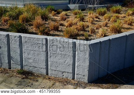 Stipa Capilata In Flowerbed Mulch Gravel With Concrete Raised Edge Of Cubes 6cm In Rows Pavement Sur