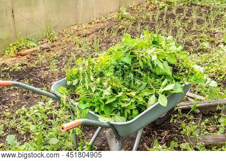 Reuse Of Weeded, Uprooted Weeds For Composting And Humus In Order To Restore And Increase Soil Ferti