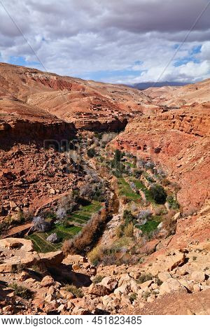 Morocco Landscape. Asif Ounila River Canyon With Blooming Almond Orchards Near Ait Benhaddou.