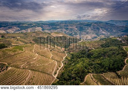 Aerial View Over Douro Valley In Portugal And The Port Wine Vineyards - Videoclip