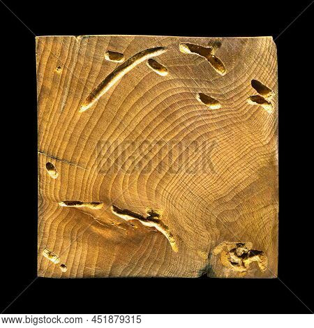 Wood Grain Texture. Wormy Hornbeam Wood, Can Be Used As Background, Pattern Background
