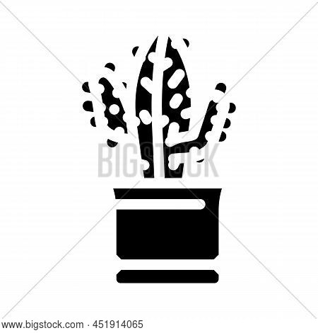 Euphorbia Acrurensis Glyph Icon Vector. Euphorbia Acrurensis Sign. Isolated Contour Symbol Black Ill
