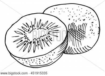 Kiwi In Hand Drawn Style. Half Cut And Whole Fruit