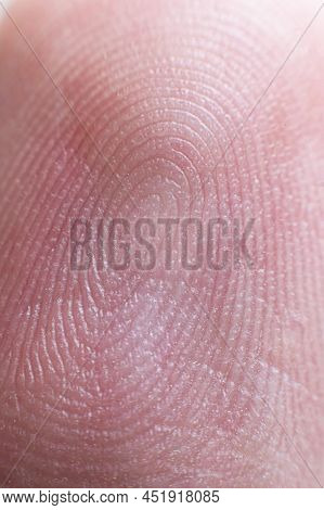 Close-up Surface Fingerprint - Extreme Macro Photography. Biometrics And Fingerprinting