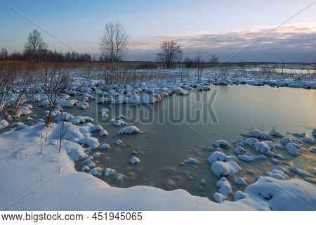 Northern European Nature In Winter Morning: Swamp After Spring Snowfall, Sestroretsk, Karelia.