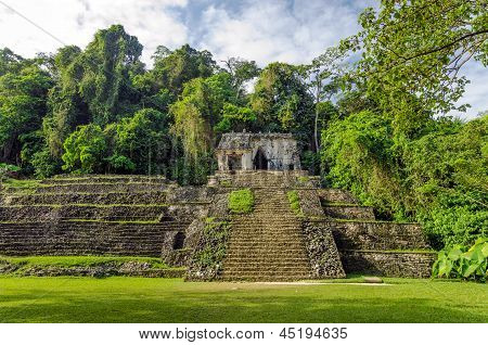 Ancient Temple i dżungla