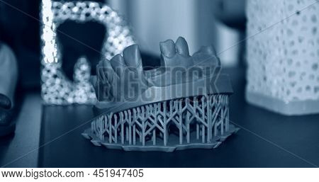 Human Lower Jaw Printed On 3d Printer Of Photopolymer