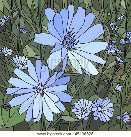 Vektor-Illustration Blume Chicorée (Succory).