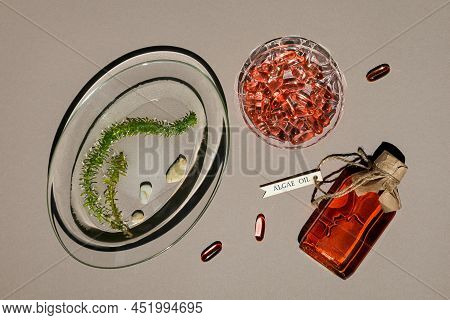 Glass Bottle With Algae Oil, Jelatin Capsules And Seaweed In Transparent Plate. Bottle Is Tied With 