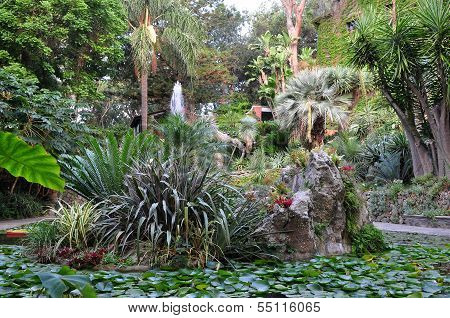 nature of Ischia island