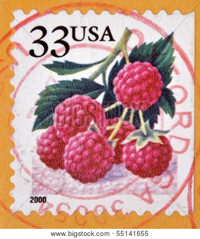 UNITED STATES OF AMERICA - CIRCA 2000: A stamp printed in USA shows Raspberries circa 2000