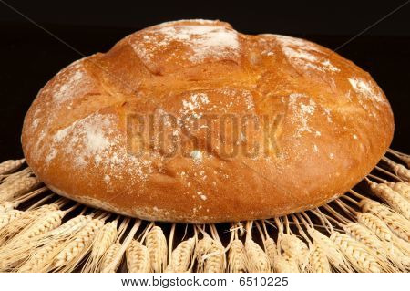 Brot