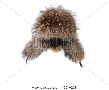 หนาวหมวกขนสัตว์ earflaps