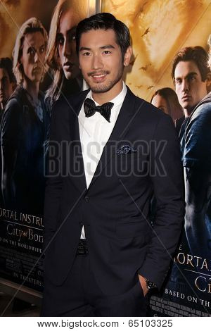 LOS ANGELES - AUG 12:  Godfrey Gao at the 
