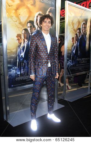 LOS ANGELES - AUG 12:  Robert Sheehan at the 