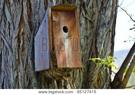 Overstuffed And Overflowing Birdhouse
