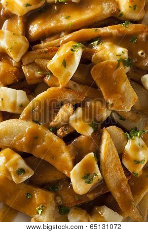Unhealthy Delicious Poutine With French Fries