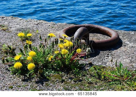 Old Mooring Loop