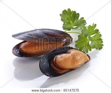 Mussel In Shell