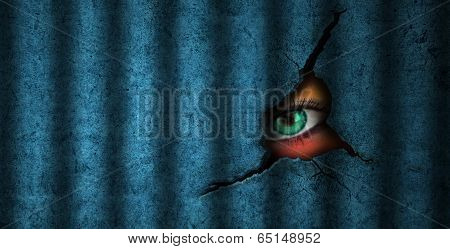 Prisoner and Surveillance Eye