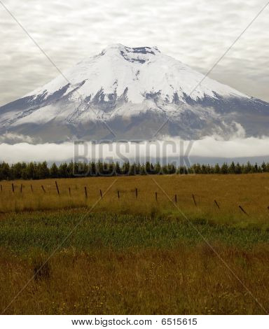 Cotopaxi