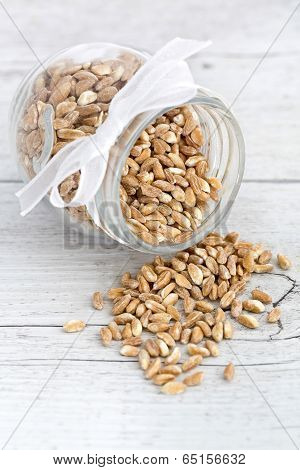 Farro