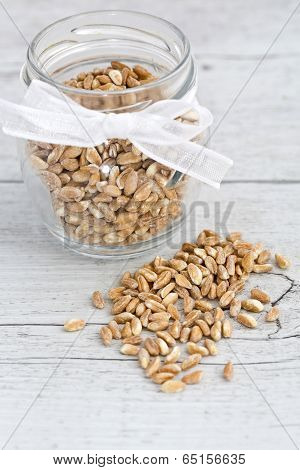 Farro