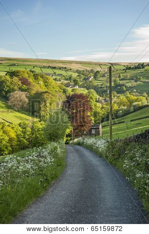 Flower fringed country road