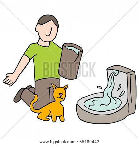 An image of a cat drinking fountain.