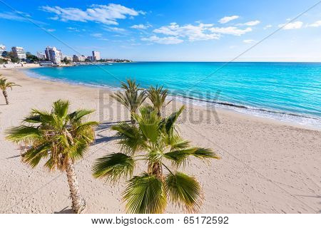 Alicante San Juan beach of La Albufereta with palms trees in Mediterranean Spain