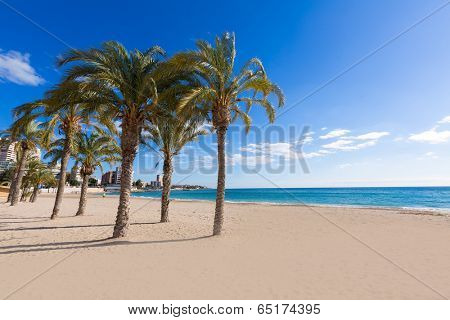 Alicante San Juan beach of La Albufereta with palms trees in Mediterranean Spain