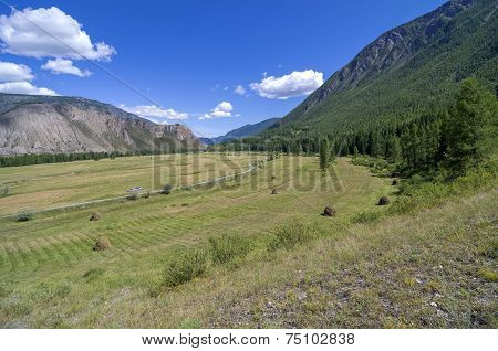 Meadow With Haystacks In The Mountains. Altai, Russia.