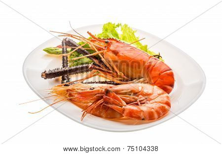 Giant Freshwater Prawn And King Prawns