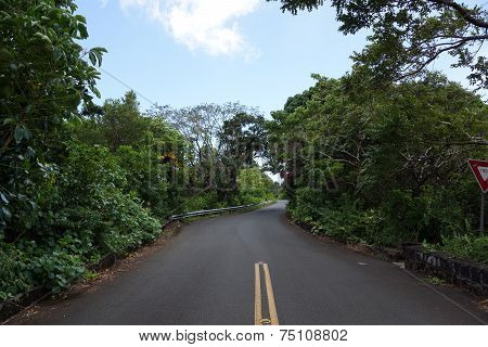 Tantalus Mountain One Lane Bridge