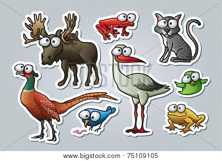 Cartoon Animals