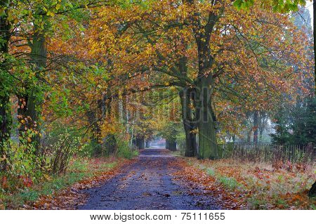 Country Road.