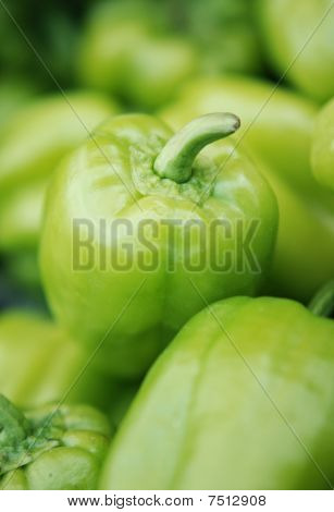 Grön paprika