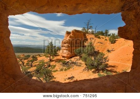 Nature window