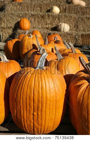 Pumpkins at farmers market
