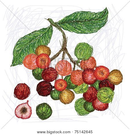 Cluster Fig