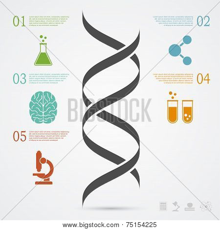 Dna Infographic