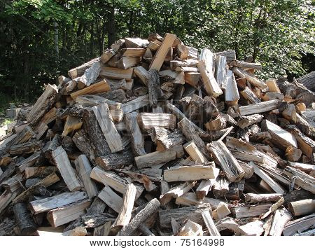 Wood Pile