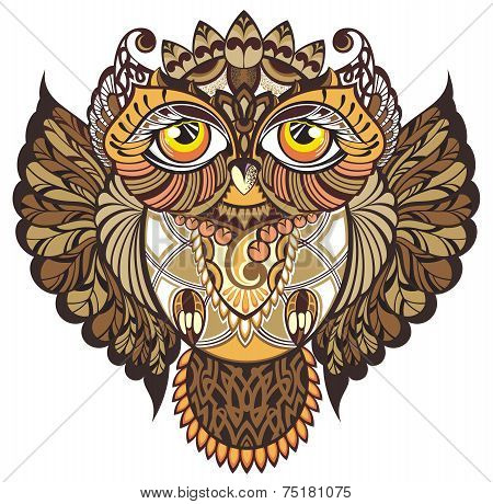 Owl