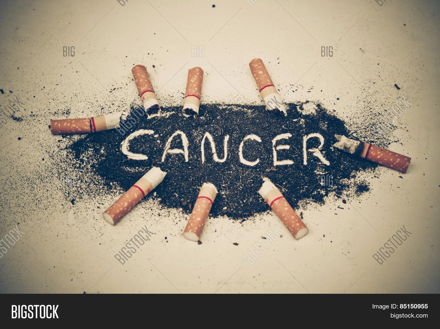 Джизус эгоист. Эш текст. Serena x ash youtube. Shallow текст песни. Ashes to ashes текст.