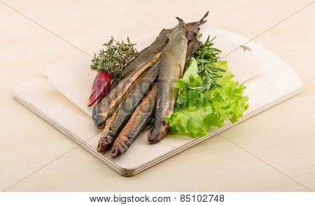 Lamprey