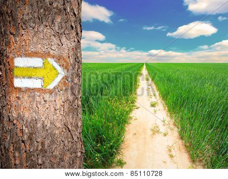 Hiking background with countryside path and signpost. Typical touristic sign in Czech Republic.