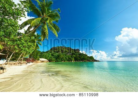 Beautiful beach with palm tree at Seychelles, Praslin, Cote d'Or